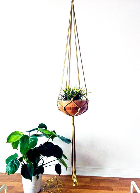 Macrame Plant Hanger